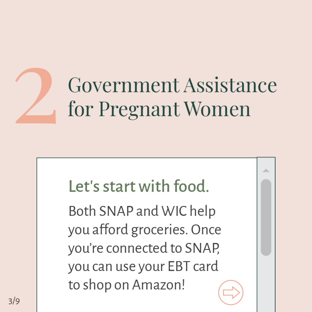Government Assistance for Pregnant Women